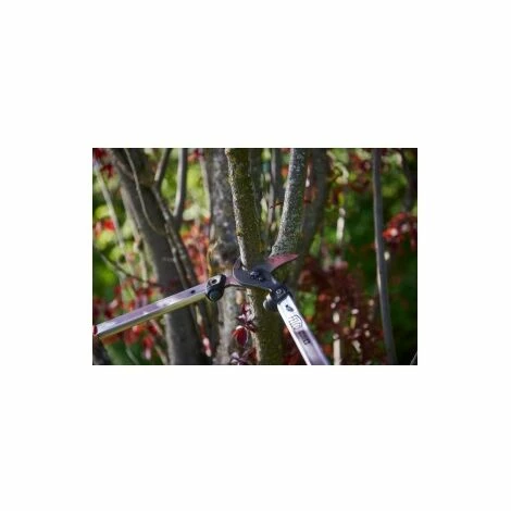 Felco 211-50 Baumschere Alu 50cm Felco 211-50 Baumschere Alu 50cm -FELCO Shop 20283766 4