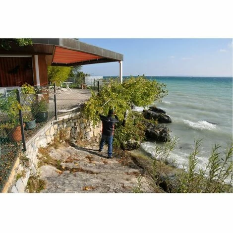 Getriebeastschere Felco 231 Getriebeastschere Felco 231 -FELCO Shop 23471242 2