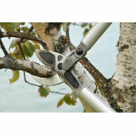 Getriebeastschere Felco 231 Getriebeastschere Felco 231 -FELCO Shop 23471242 3