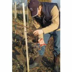 FELCO-SET - FELCO 11 Einhand Schere Baum Reb Garten-Schere Inkl. Handschuhe 3 FELCO-SET - FELCO 11 Einhand Schere Baum Reb Garten-Schere Inkl. Handschuhe -FELCO Shop 28079725 4