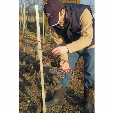 FELCO-SET - FELCO 11 Einhand Schere Baum Reb Garten-Schere inkl. Handschuhe FELCO-SET - FELCO 11 Einhand Schere Baum Reb Garten-Schere Inkl. Handschuhe -FELCO Shop 28079725 4