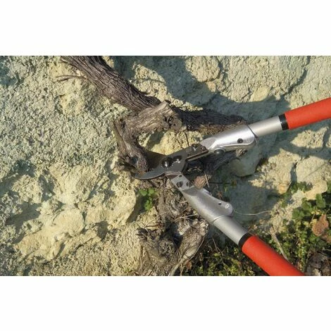 Felco 200A-40 Gartenschere Länge 40 cm Schnitt-ø 35 mm Baumschere scharfe Klinge Felco 200A-40 Gartenschere Länge 40 Cm Schnitt-ø 35 Mm Baumschere Scharfe Klinge -FELCO Shop 45813066 4