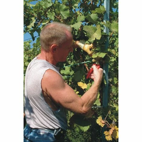 Felco 310 Leseschere Gartenschere kleine Schnittarbeiten Weinlese Schnitt-ø 10mm Felco 310 Leseschere Gartenschere Kleine Schnittarbeiten Weinlese Schnitt-ø 10mm -FELCO Shop 51790130 3