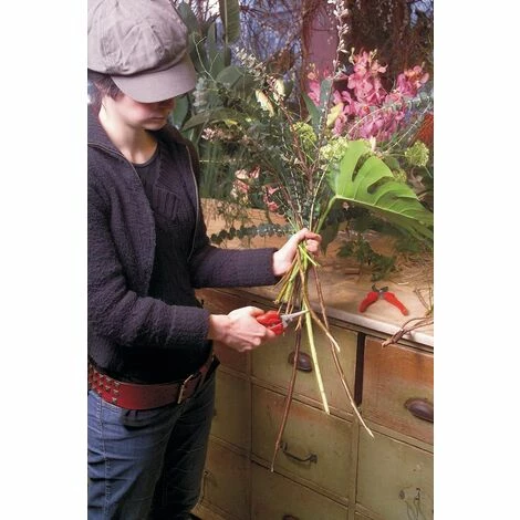 Felco 310 Leseschere Gartenschere kleine Schnittarbeiten Weinlese Schnitt-ø 10mm Felco 310 Leseschere Gartenschere Kleine Schnittarbeiten Weinlese Schnitt-ø 10mm -FELCO Shop 51790130 4