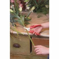 Felco 310 Leseschere Gartenschere Kleine Schnittarbeiten Weinlese Schnitt-ø 10mm 4 Felco 310 Leseschere Gartenschere Kleine Schnittarbeiten Weinlese Schnitt-ø 10mm -FELCO Shop 51790130 5