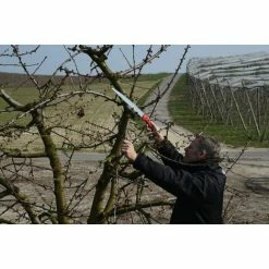 Felco 611 Säge Sägeblatt-Länge 33 Cm Astsäge Schnitt-ø 100 Mm, Länge 500 Mm -FELCO Shop 51906800 3