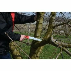 Felco 611 Säge Sägeblatt-Länge 33 Cm Astsäge Schnitt-ø 100 Mm, Länge 500 Mm -FELCO Shop 51906800 5