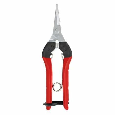 Ernte- u. Leseschere Felco 321 gerade 177mm Felco Ernte- U. Leseschere Felco 321 Gerade 177mm Felco -FELCO Shop 55865826 1