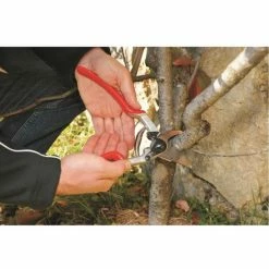 Baum-, Reb-, Gartenschere Felco 13 -FELCO Shop 67657742 3