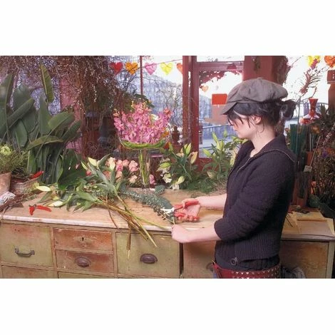 FELCO 300-15 - Leseschere FELCO 300 FELCO 300-15 - Leseschere FELCO 300 -FELCO Shop 7060302 3