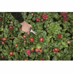 FELCO Leseschere Mit Stahlgriffen - 190 Mm -FELCO Shop 71465953 4